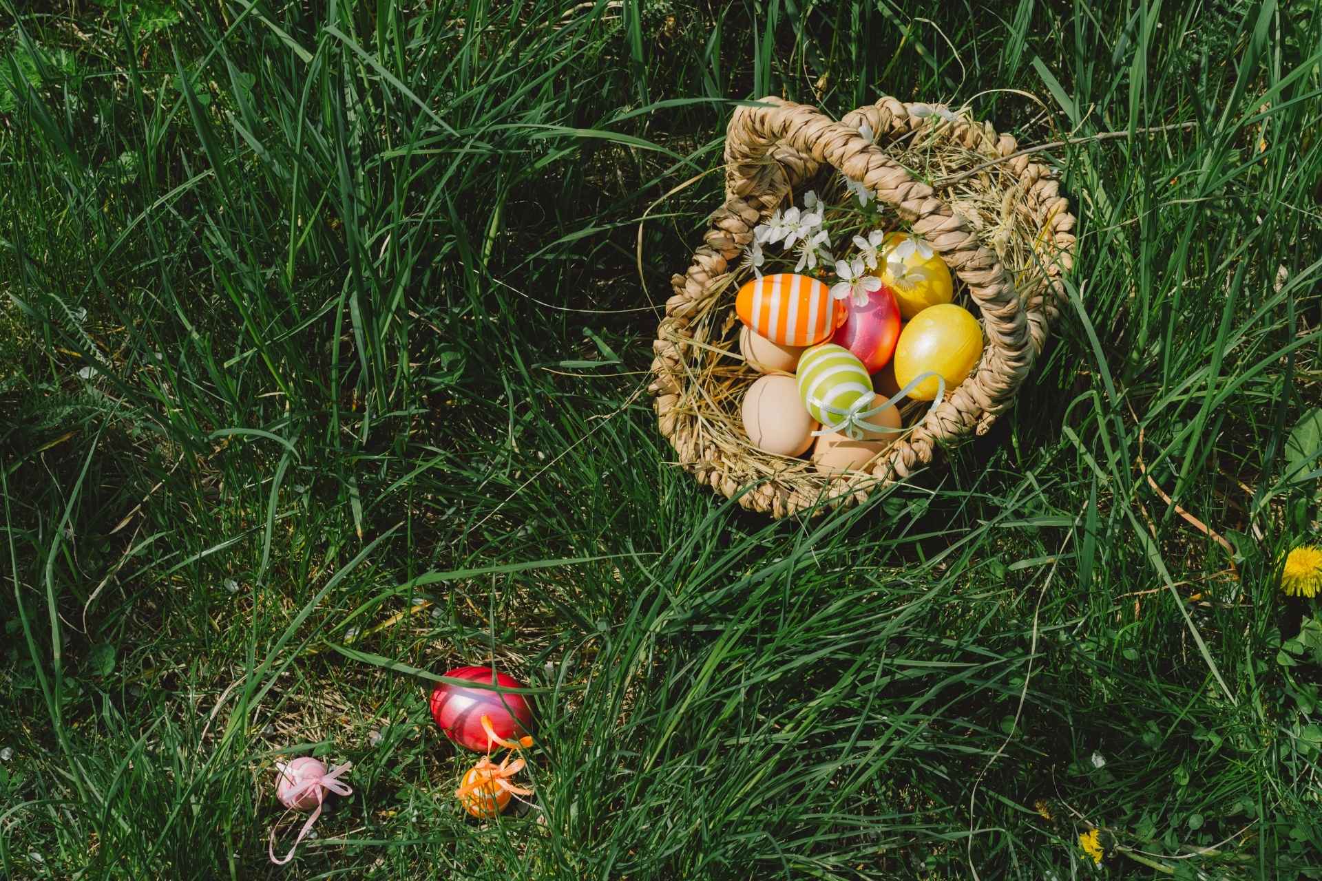 An easter basket sitting in the grass.