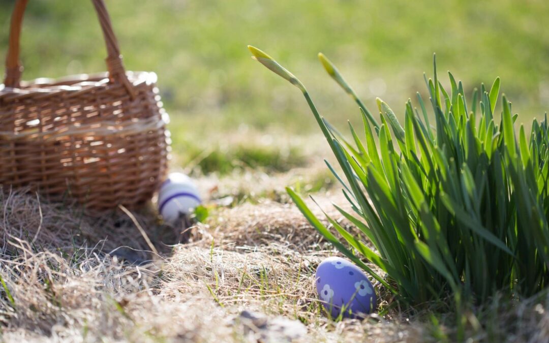Celebrate Easter with Our Community Brunch & Egg Hunt
