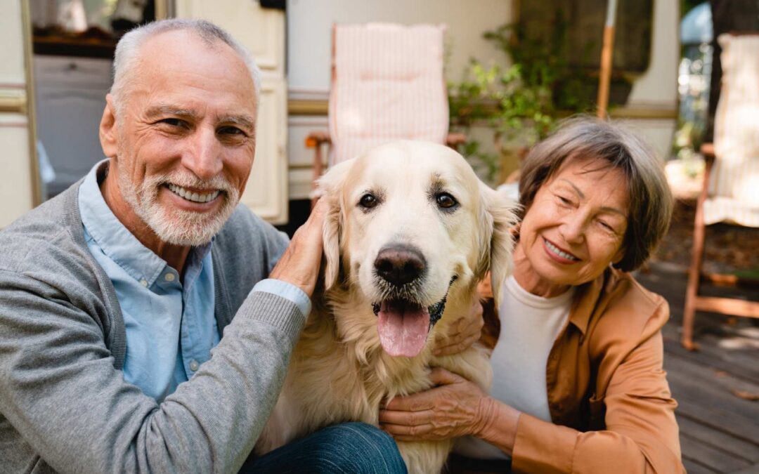 Help Us Support the Hamilton County Humane Society